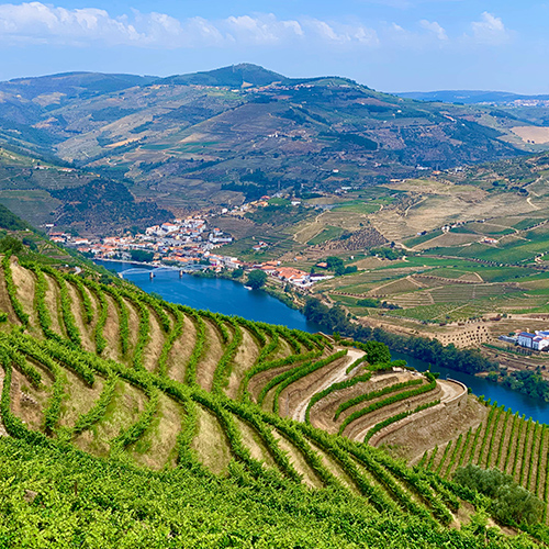 As vistas do vale do Douro são lindíssimas.