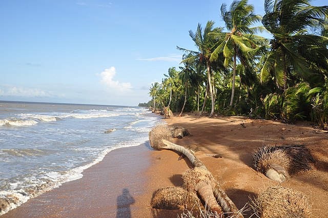Ecoturismo na Guiana - Shell Beach